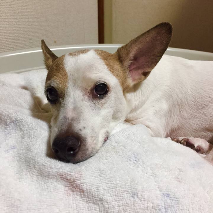 C030b704 ebdb 412f ad14 e4ca5e67d1d8 1534935908805