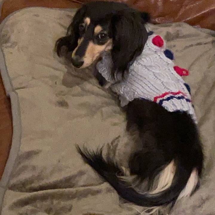 C030d9cd 9d26 48a8 b3b7 25af93b3d496 1769685176612