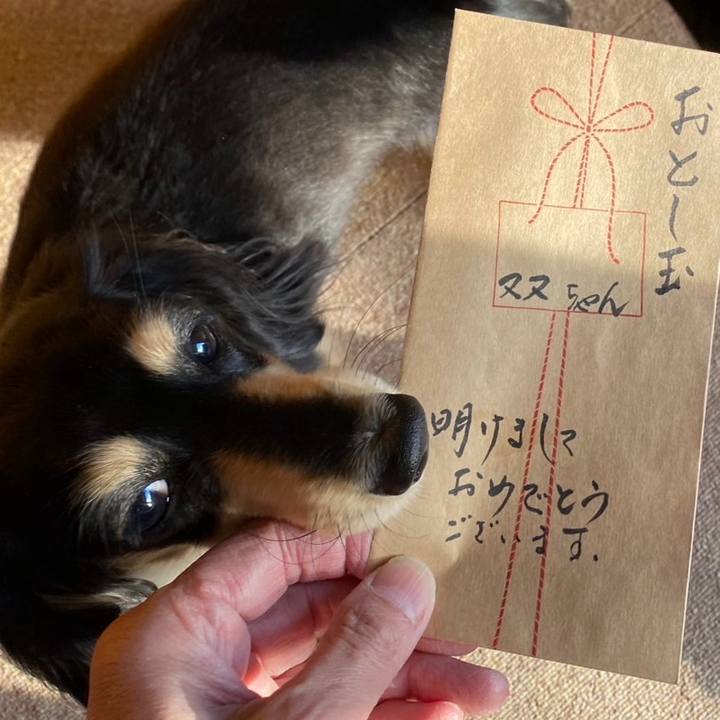 C030e706 211b 49a8 a53c 515f08caf551 1736047912394