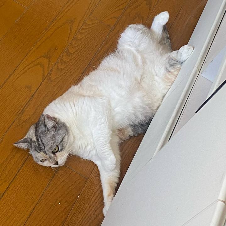 C0311705 5d7f 4adf bb6a 5426e09e5386 1689555782458