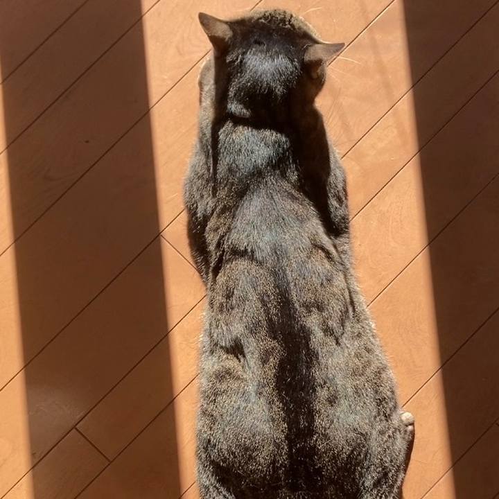 C0311e68 f625 4049 acef 3c9c64af6469 1639993858606