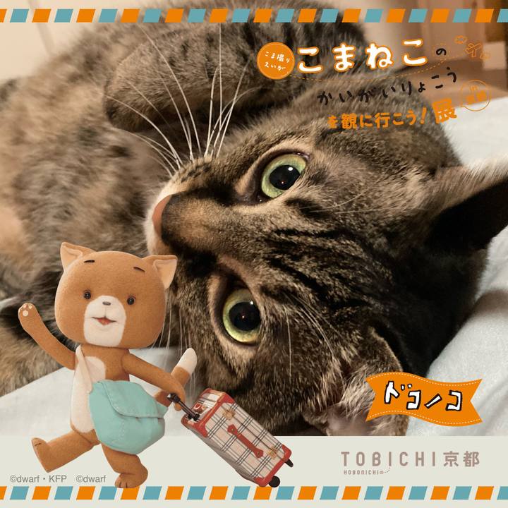 C03123fa 5bda 49b6 9301 0030387c97b9 1740117197308