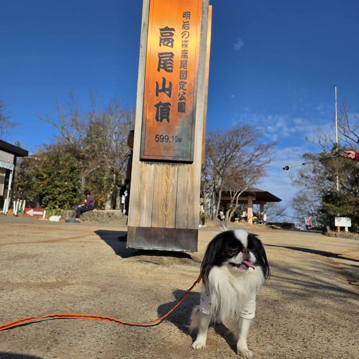 C0312730 55b2 48d6 a7e6 0d63360f17d8 1765443866925