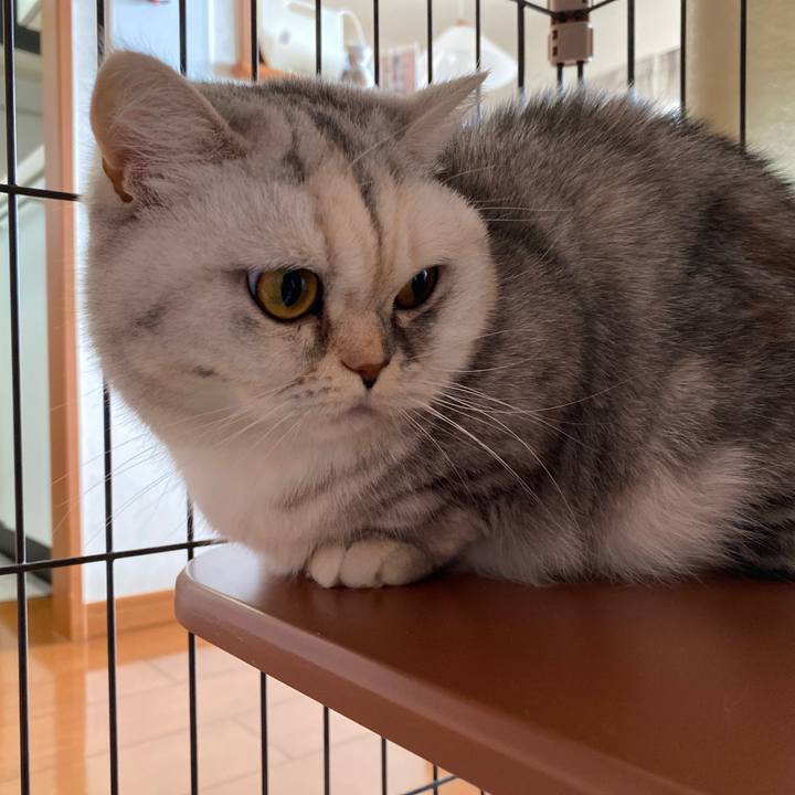 C0312c1f 4490 486b 92ab a59f22c499c6 1739330786336