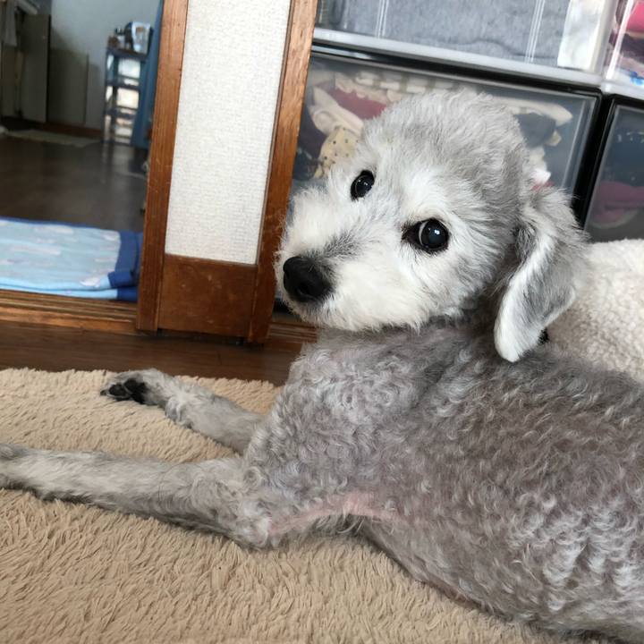 C0315391 9165 4c2b 9abd e890412d40d6 1589349047436