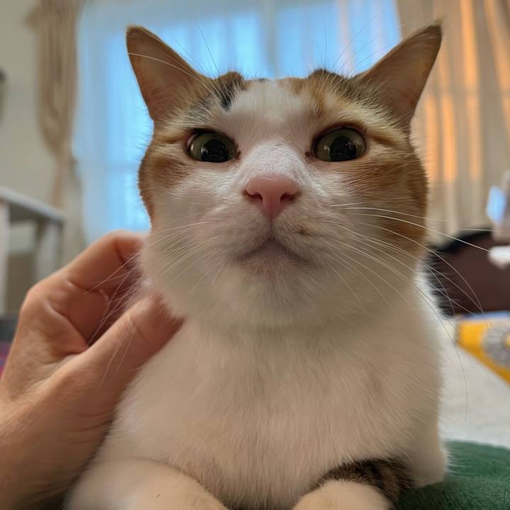 C031ab07 18ec 4e22 95e1 265d0e7a76e5 1763675123043