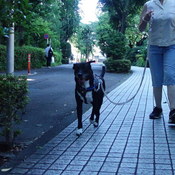 C031ed30 6f7e 4e94 81af ad39c2ad0a2f 1656115749133