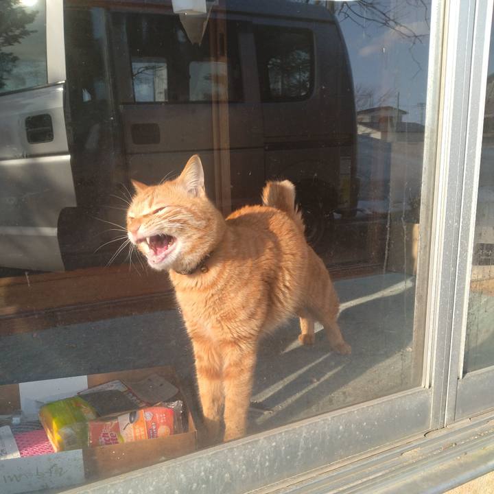 C031f805 e04e 4c17 b04c c6526a847f46 1677658168165