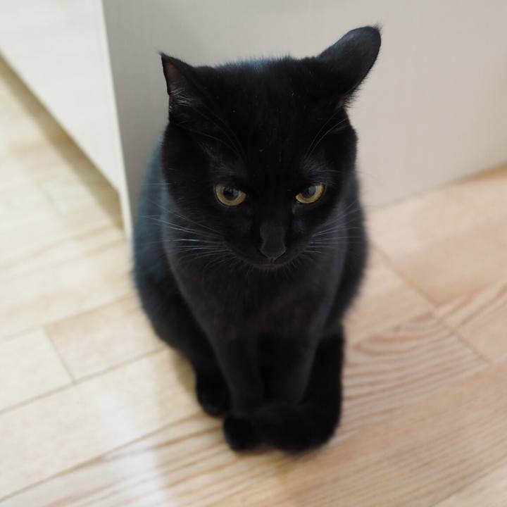 C0324302 53d0 4374 9da1 f230c72356e1 1542843981426