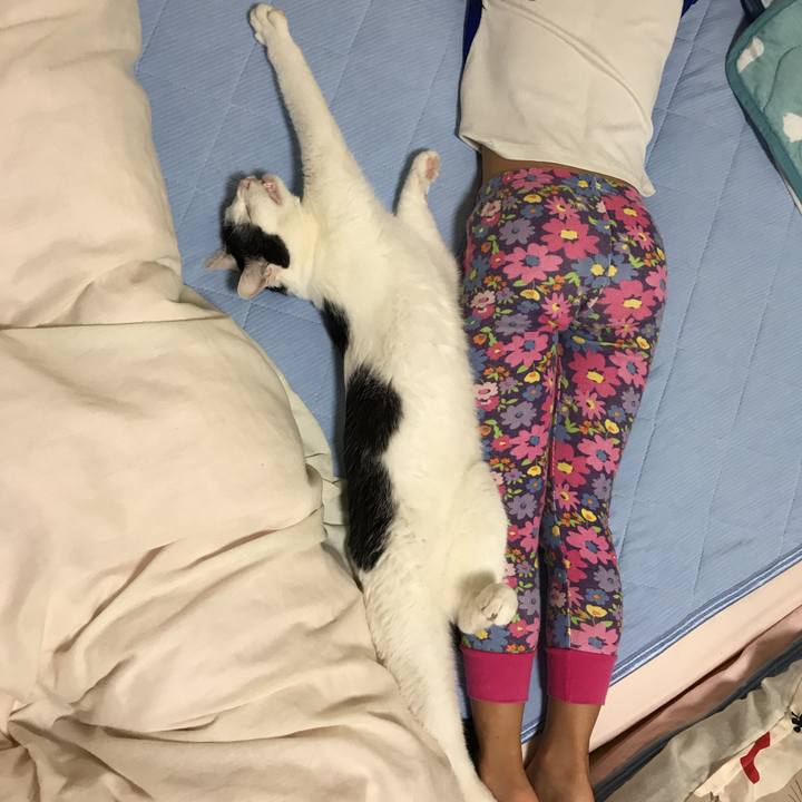 C0324db4 849d 456e a8b2 981d0a989533 1536853956922