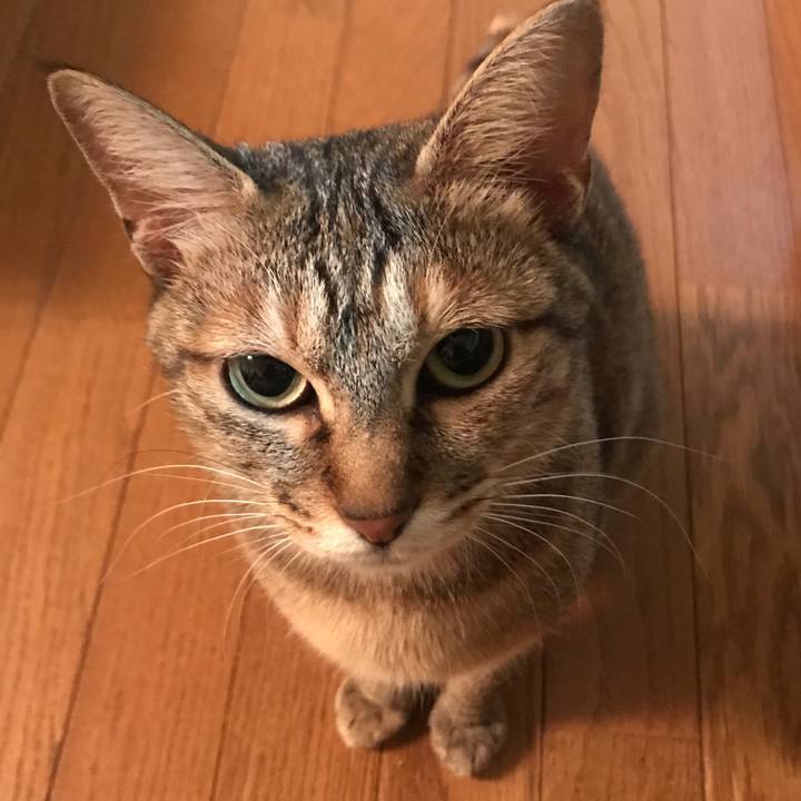 C0324fea 6e33 4f92 afd3 455c963ef812 1585701633919