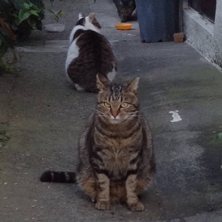 C0326686 a317 4277 a59a cd6b3f8eea3d 1512550728469