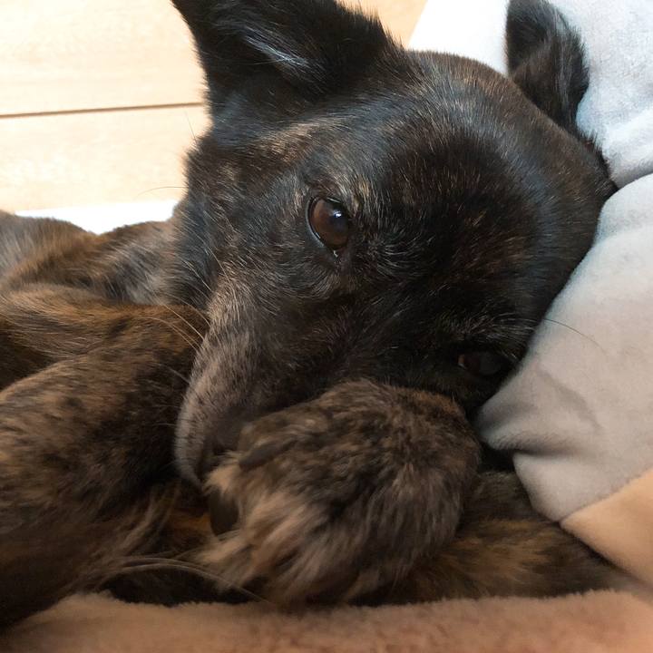 C0326c13 3835 4c9b 89fd 8cdbf711dff3 1588024623514