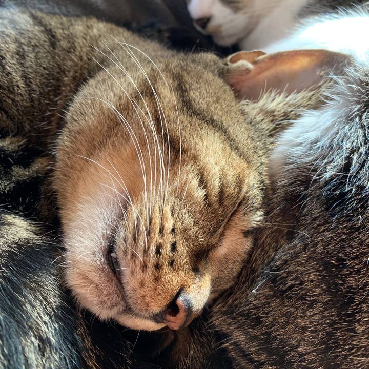 C032a5dd c399 4877 94d9 d11953904b40 1548638465190