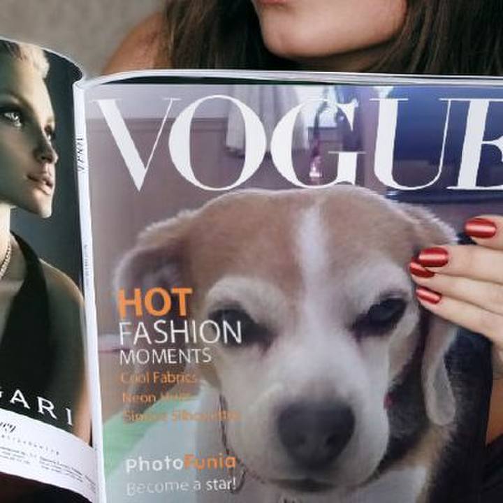 C032aee1 0d96 48ca 8702 aa0e77df9c3a 1765928310496