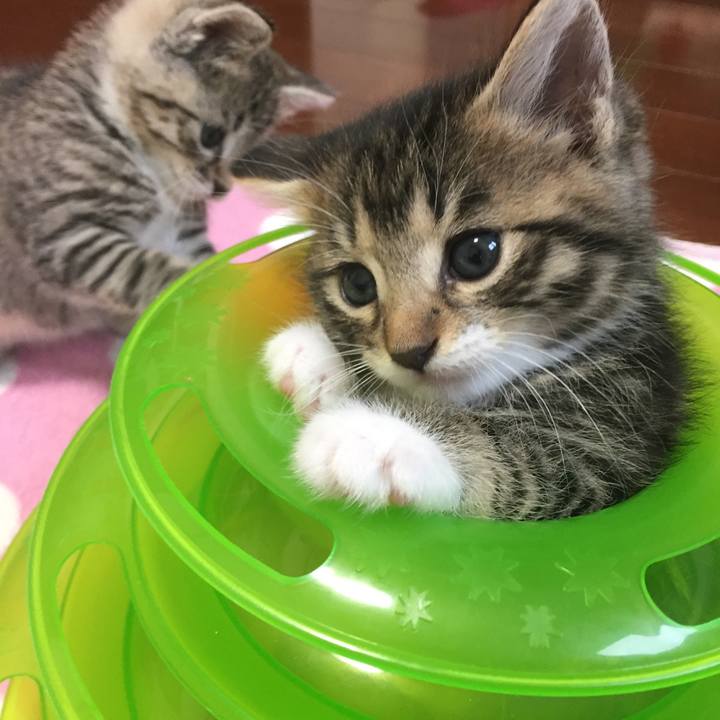 C032cfe5 14c6 42d7 8749 4332dcf192e6 1546998102393