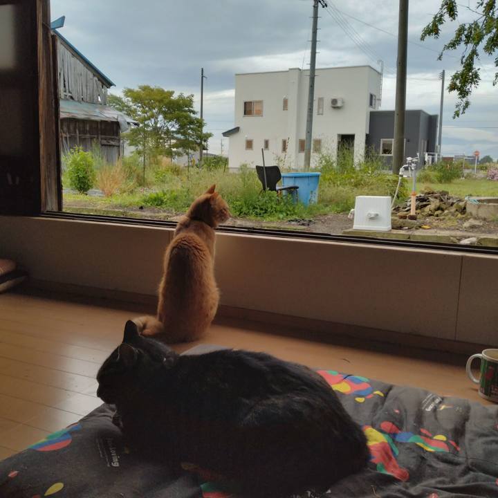 C032f402 7312 4e96 b3c6 a0f56497df94 1663882634140