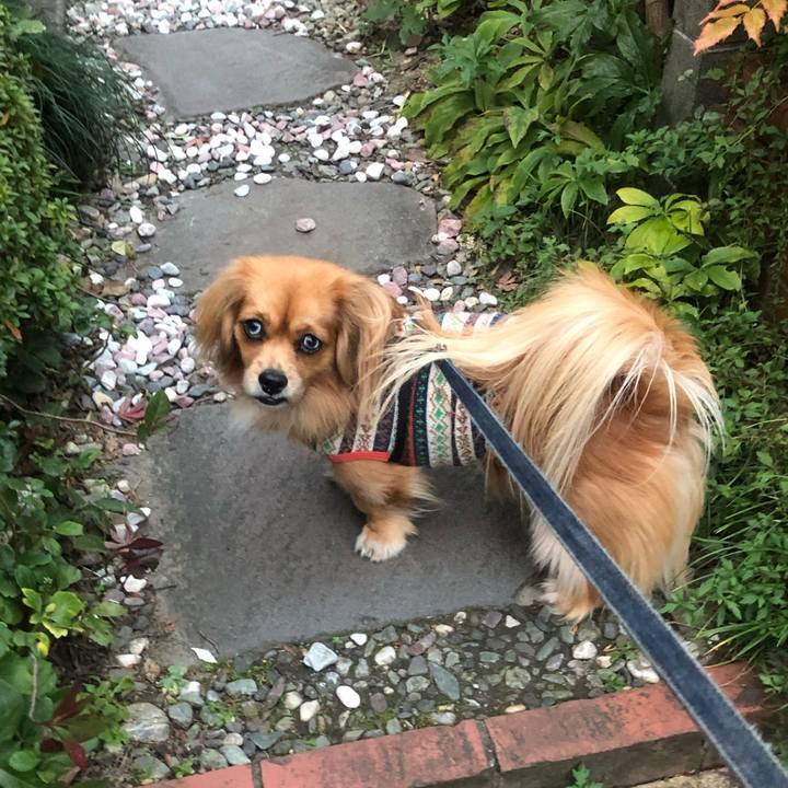 C0330ca4 8eeb 4fa7 abf7 7b914d263dc4 1543614356080