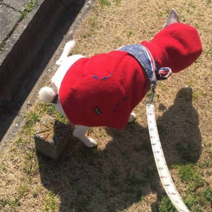 C033204b 444f 4e1e bdb7 8e35c89a097b 1774306979408