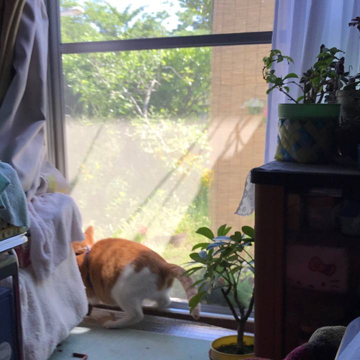 C0334885 68ca 40d4 a310 12a1b6f239e9 1526810124641