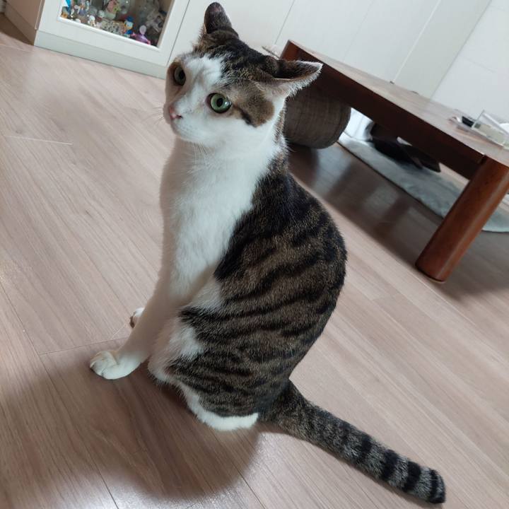 C0334a69 ae37 437b 85af 04c1676afe4a 1630018286556