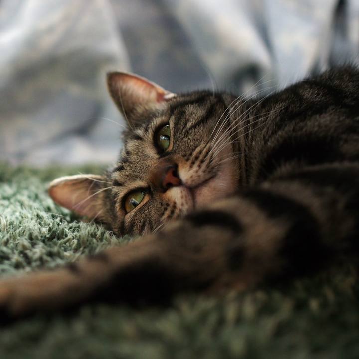 C03374e7 91e0 4152 b02d 41b245878675 1553400806232