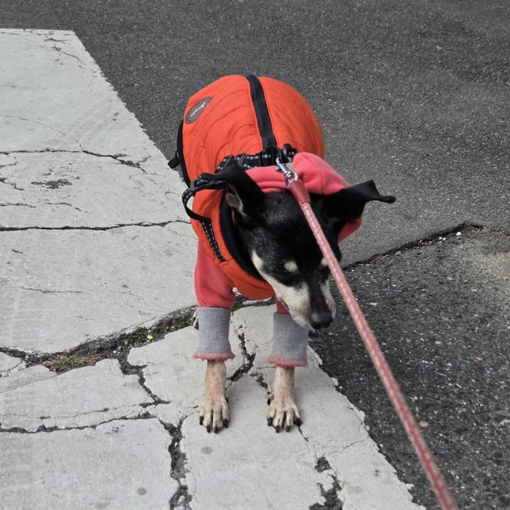 C0339f59 2a53 4edd 8f9f 3ca02c4c1103 1773018730672