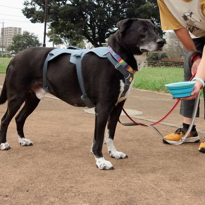 C0340264 31b0 4c83 8fec 4d2aef18791b 1727739873012