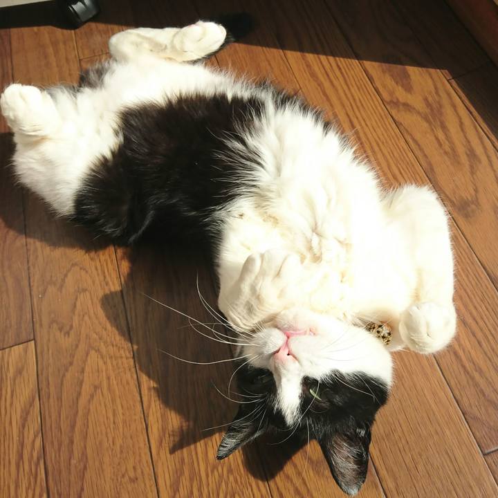 C0342672 c64b 4f3c 9543 69233dacbfdf 1587857234371