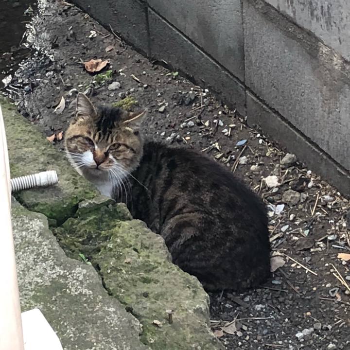 C034289d 5d7a 412e b7d1 1329fb464496 1520673323356