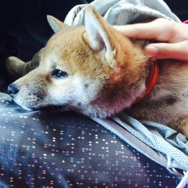 C0344247 e88c 41d7 9554 4635094c1c33 1764322133888