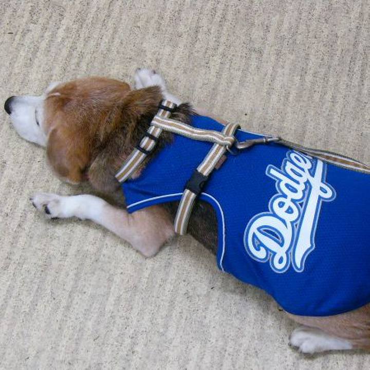 C03452e8 98d9 448a 803e 96e39022cf96 1654473216934