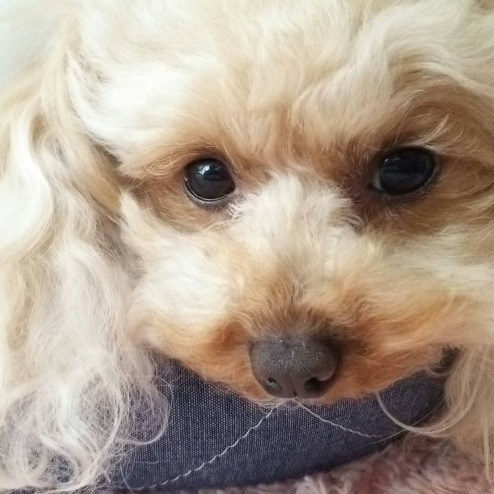 C034693b 60b3 42e9 a751 473e6db5a24a 1526389054671