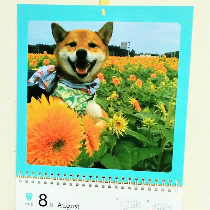 C0347f80 6424 4084 b050 eb876c60d088 1533089737427