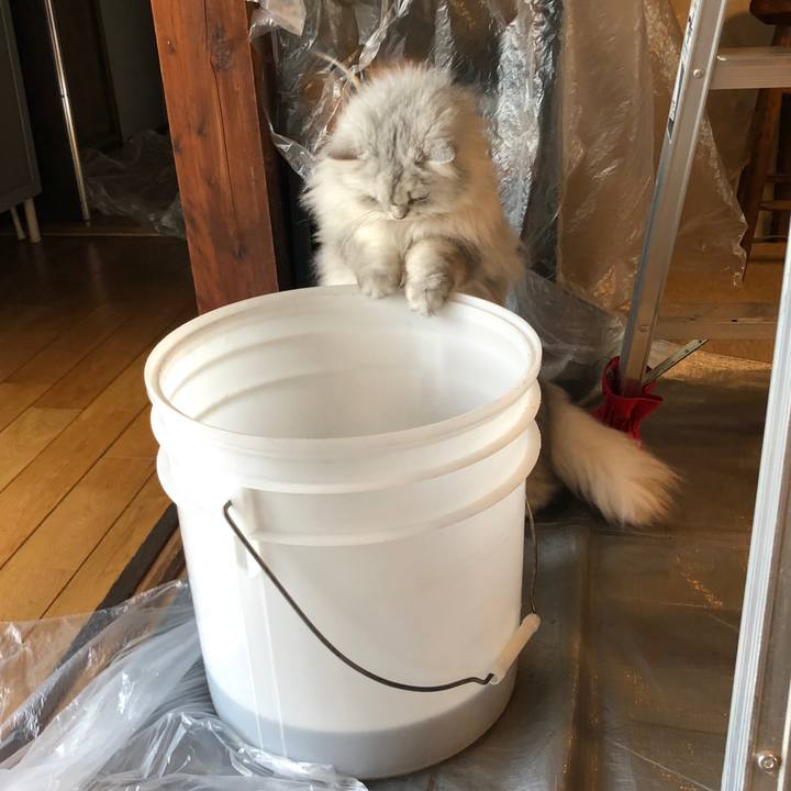 C034a8f3 0b21 4fe1 9d13 e9b3b618af9c 1584240621354