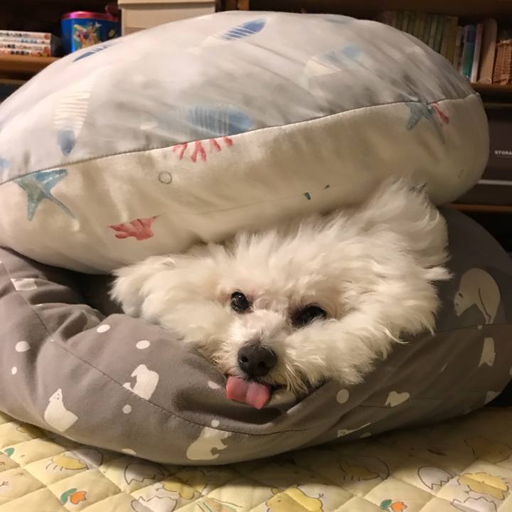 C034c5e9 96bd 4e3b bbc1 d1167ab3ea4f 1598191271451