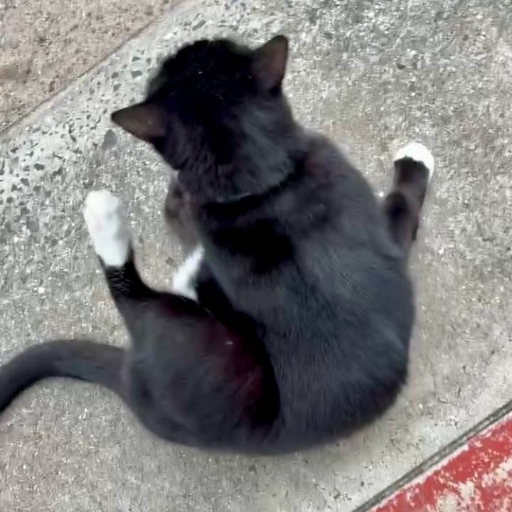 C034e9fb e20a 4081 b23c 2fc26f77872e 1763019316041