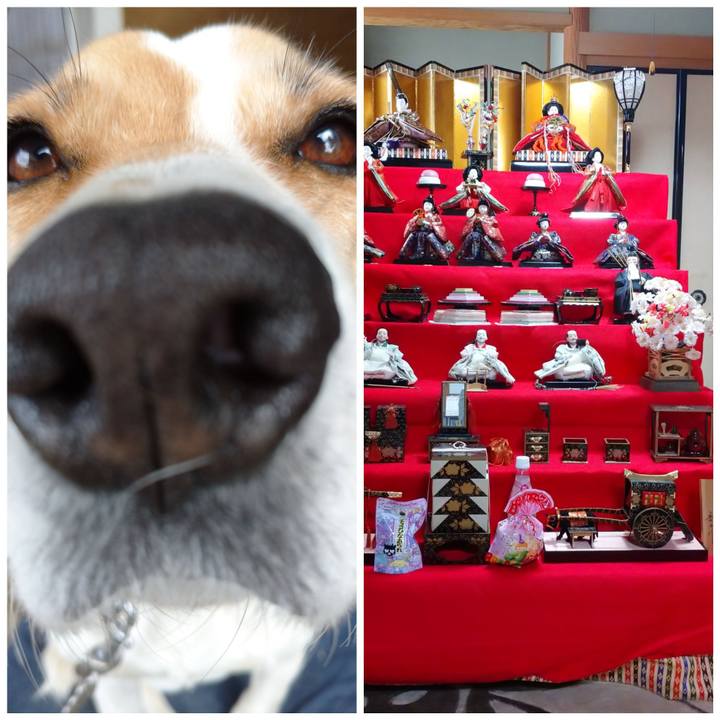 C034f9fb 2d8f 4b57 9ab1 d349ba00d473 1614751520925