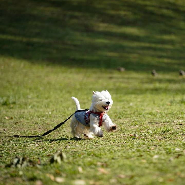 C03513c1 17ee 433e 85e9 e1d9e27efcf0 1523274924261