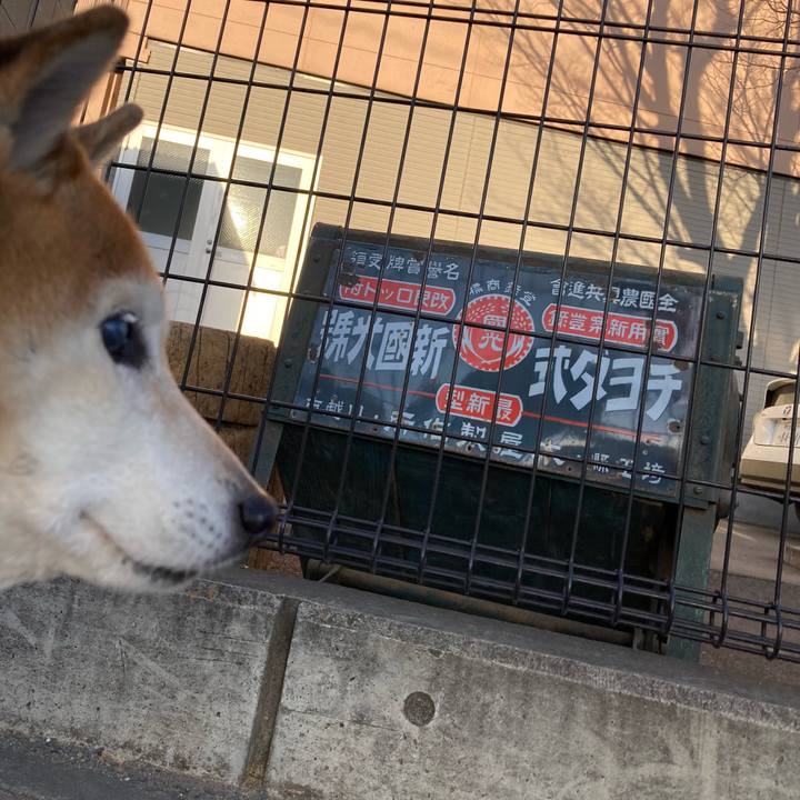 C0351acd 11e5 4472 b0b2 e7da05c80968 1768793749982