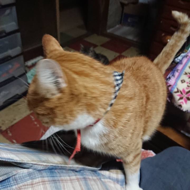 C0354785 bf57 461e b1cd ea3b8933adfd 1570477673511