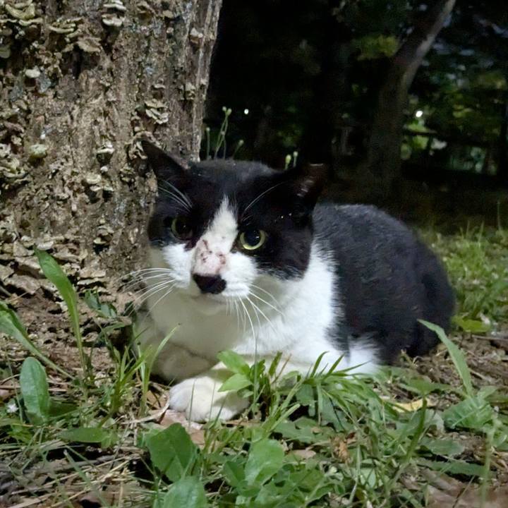 C0354a36 0f6c 47f3 bddd ed780a3d54bb 1750946752771