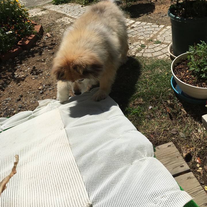 C035b9e1 3c7a 42fb 92b3 331afb6a0968 1611338080839