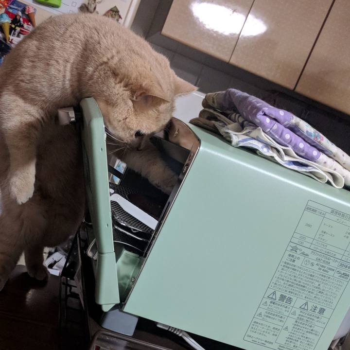 C035bdfe e508 4a93 be8a d48a2974ed54 1551257672380