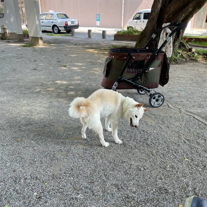 C0360f60 bbdb 402e 8820 2a17d5167ffd 1653412274026