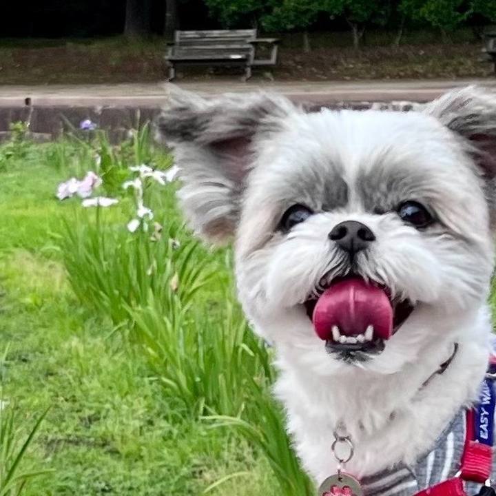 C03634a1 bb6d 45f8 9090 0c52260c7ddc 1684829476507