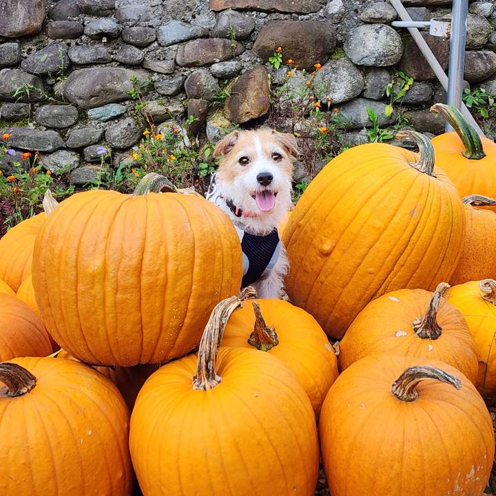 C03637ca 0ff1 472a 8449 244ea2cd2b10 1730338629683