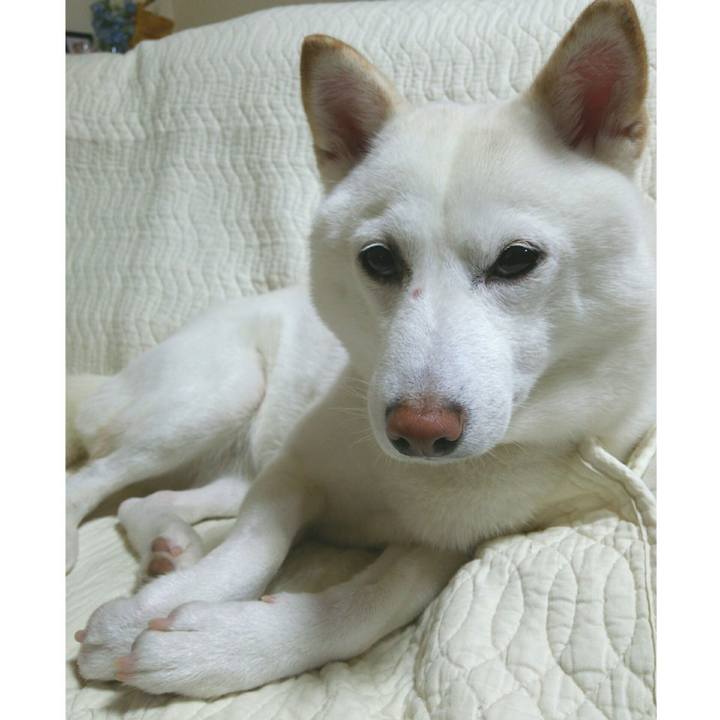 C03639b5 14f0 4ed1 8986 33a2880a19ef 1560348051445