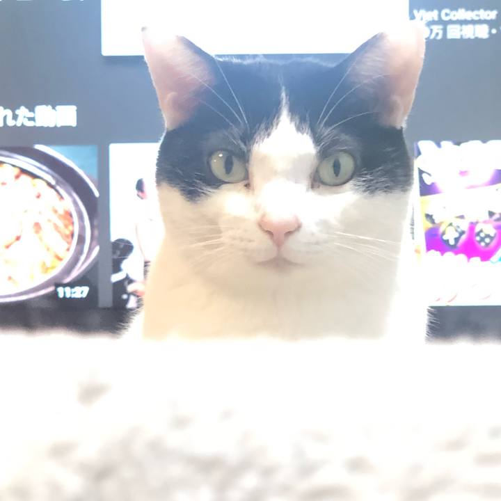 C036b91a 33aa 4098 bc55 a29a1f91e848 1581395044241