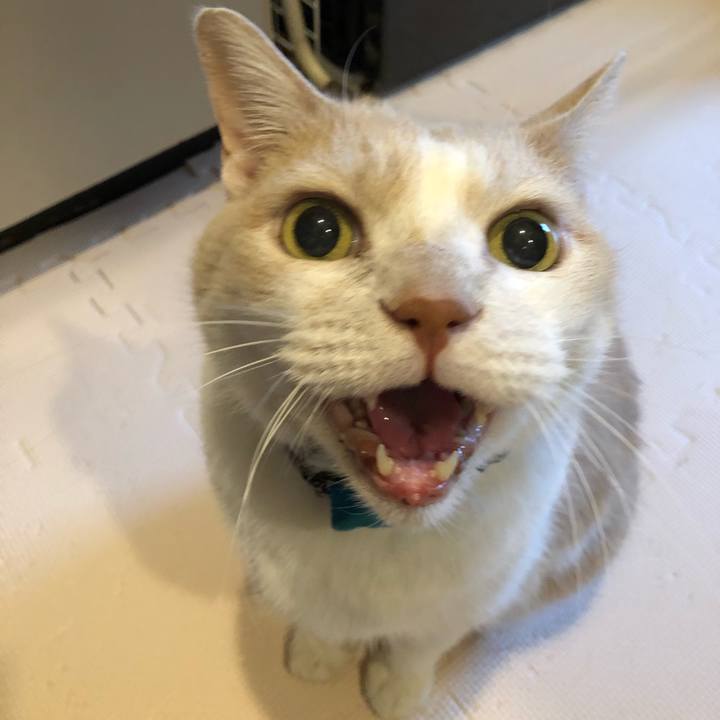 C036cef4 13bf 4b49 8c15 802bda9398d5 1607639670473